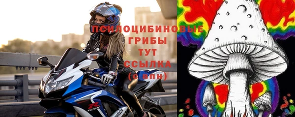 твердый Верея
