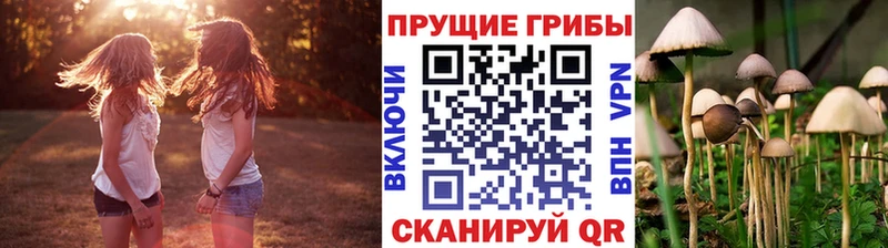 Галлюциногенные грибы MAGIC MUSHROOMS  Тольятти 